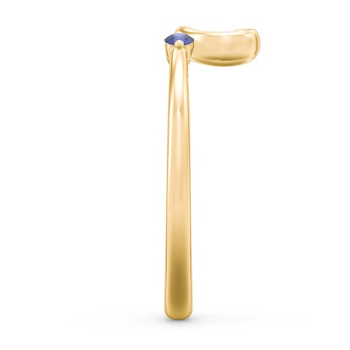 Two in Love Ring – 18K Gold Plated Silver with Blue Sapphire