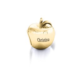 Apple of my Eye Bracelet Charm in 10K Solid Yellow Gold