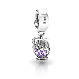 Scholarly Owl Caged Bracelet Charm in 925 Sterling Silver with Amethyst and Garnet