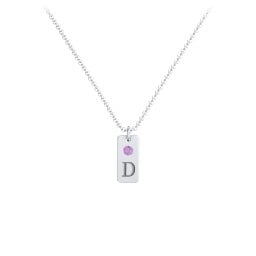 Small Initial Tag Necklace with Birthstone