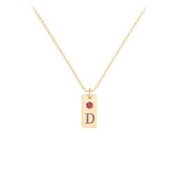 Small Initial Tag Necklace with Birthstone