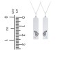 Engravable Butterfly Bar Necklace Set with Birthstones