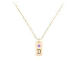 Small Initial Tag Necklace with Birthstone