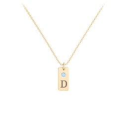 Small Initial Tag Necklace with Birthstone