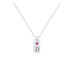 Small Initial Tag Necklace with Birthstone