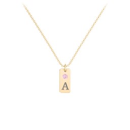 Small Initial Tag Necklace with Birthstone in 10K Solid Yellow Gold with Pink Tourmaline