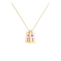 Small Initial 2 Tag Necklace with Birthstone in 18K Gold Plated Silver with Amethyst, Cubic Zirconia, Amethyst Premium Zirconia, and Fancy Pink Premium Zirconia