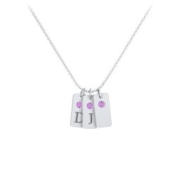 Small Initial 3 Tag Necklace with Birthstone