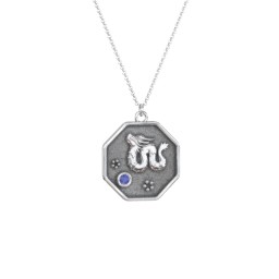 Year of the Dragon Engravable Zodiac Medallion Necklace