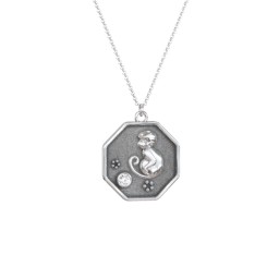 Year of the Monkey Engravable Zodiac Medallion Necklace