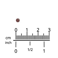 Classic Birthstone Single Stud