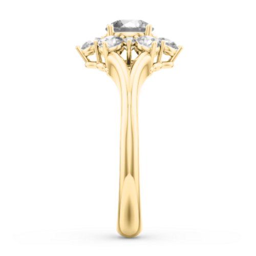 Aurora Round Cluster Ring with Birthstones – 10K Yellow Gold with Cubic Zirconia and White Premium Zirconia