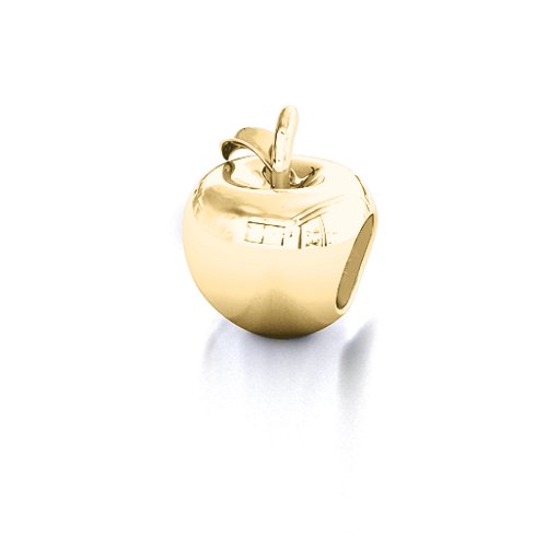 Apple of my Eye Bracelet Charm