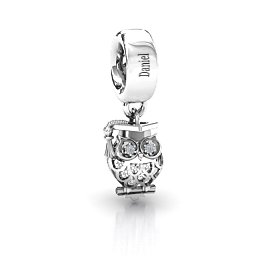 Scholarly Owl Caged Bracelet Charm