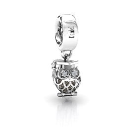 Scholarly Owl Caged Bracelet Charm