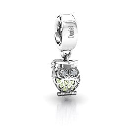 Scholarly Owl Caged Bracelet Charm