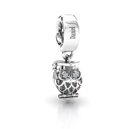 Scholarly Owl Caged Bracelet Charm