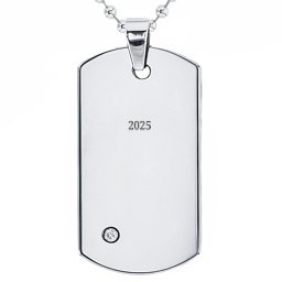 Stainless Steel Dog Tag Necklace With Gemstone Accent