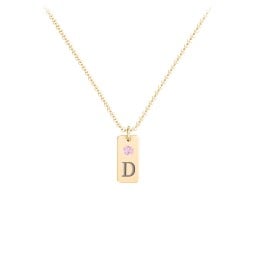 Small Initial Tag Necklace with Birthstone