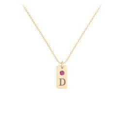 Small Initial Tag Necklace with Birthstone