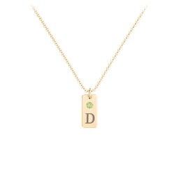 Small Initial Tag Necklace with Birthstone
