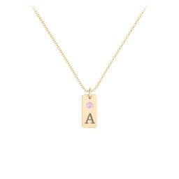 Small Initial Tag Necklace with Birthstone
