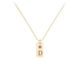 Small Initial Tag Necklace with Birthstone