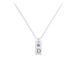 Small Initial Tag Necklace with Birthstone