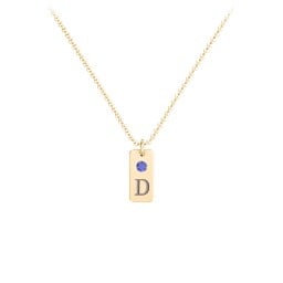 Small Initial Tag Necklace with Birthstone