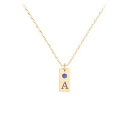 Small Initial Tag Necklace with Birthstone