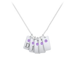 Small Initial 5 Tag Necklace with Birthstone