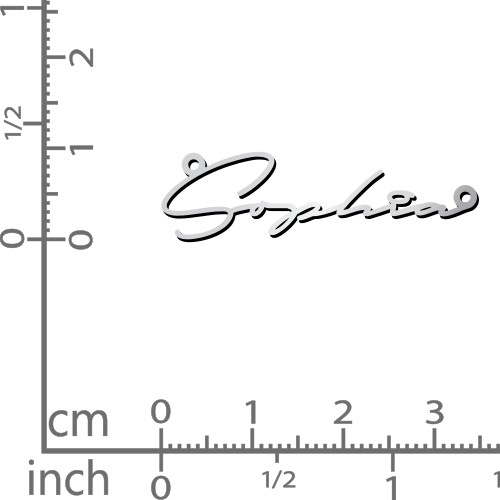 Dainty Script Stainless Steel Necklace