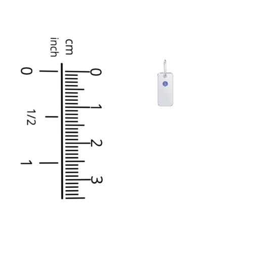 Initial Tag Charm with Birthstone