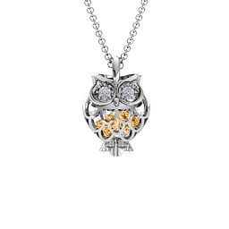 Wise Owl Caged Pendant