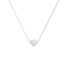 Skull Charm Necklace