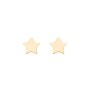 Star Shaped Stud Earrings