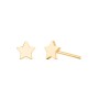 Star Shaped Stud Earrings