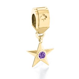 My Hero - Canada Flag Bracelet Charm in 10K Solid Yellow Gold