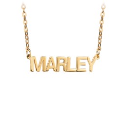 Personalized Name Necklace in 18K Gold Plated Silver