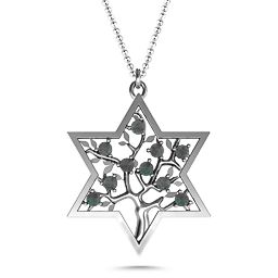Tree of Life in Star of David Pendant in 925 Sterling Silver with Alexandrite