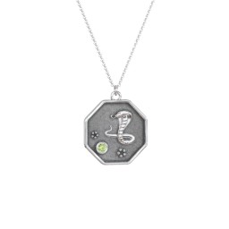 Year of the Snake Engravable Zodiac Medallion Necklace