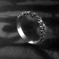 Carmilla - Wide Spine Band Ring