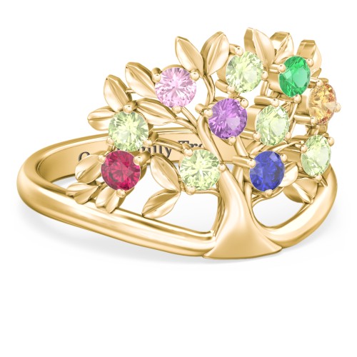 Family Tree Ring – 10K Yellow Gold with Pink Tourmaline, Peridot, Emerald, Amethyst, Citrine, Ruby, and Blue Sapphire