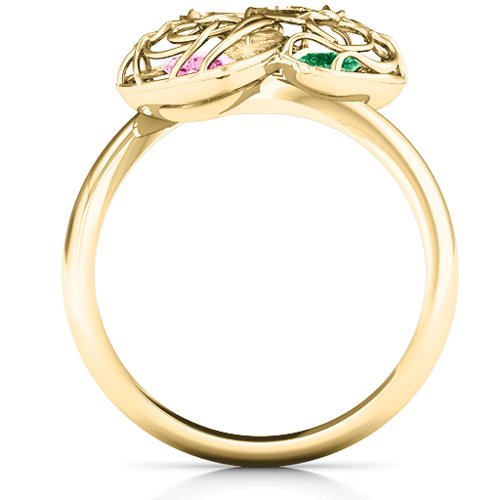 Double Heart Cage Ring with 1-6 Heart Shaped Birthstones – 10K Yellow Gold with Pink Tourmaline and Emerald
