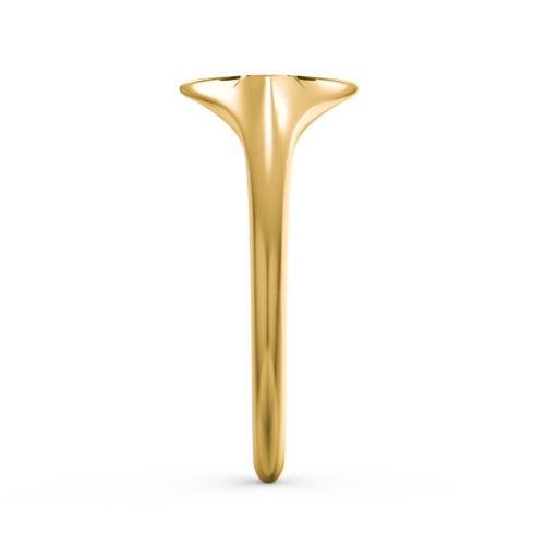 Women's North Star Signet Ring – 18K Gold Plated Silver