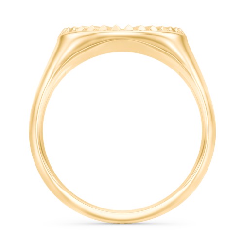 Women’s Sunburst Signet Ring with Birthstone – 10K Yellow Gold with Mint Premium Zirconia