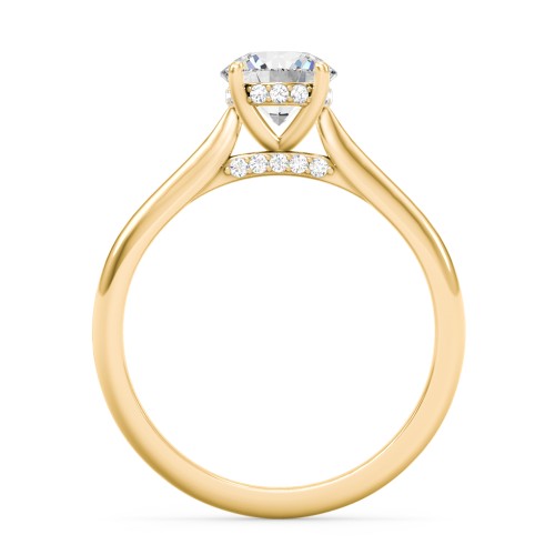 1 ct. (6.5mm) Moissanite Engagement Ring with Hidden Halo and Accents