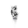 Infinite Dreams Bracelet Charm