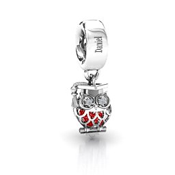 Scholarly Owl Caged Bracelet Charm in 925 Sterling Silver