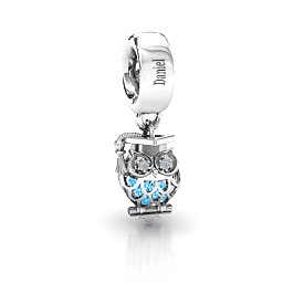 Scholarly Owl Caged Bracelet Charm in 925 Sterling Silver